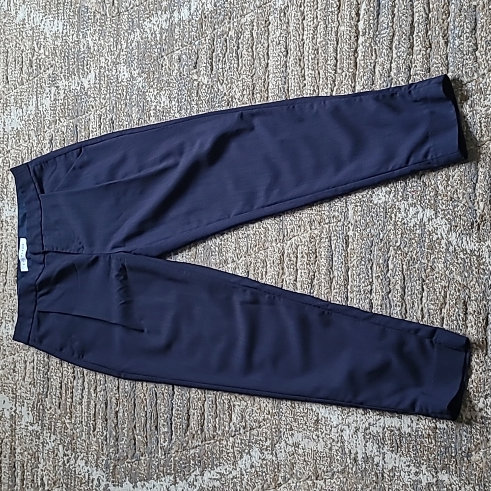 Everlane Blue Wool Pants